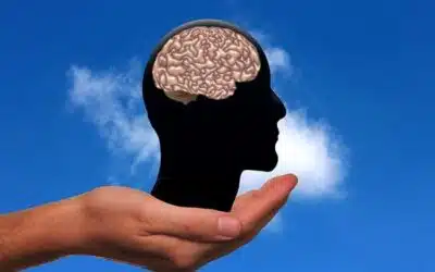 Suicide : Prévenir.