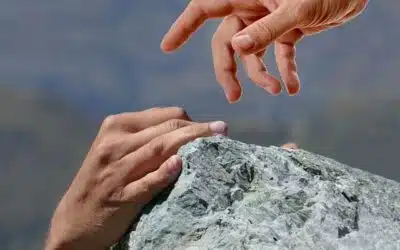 « Libérer l’énergie altruiste au sein de l’organisation »