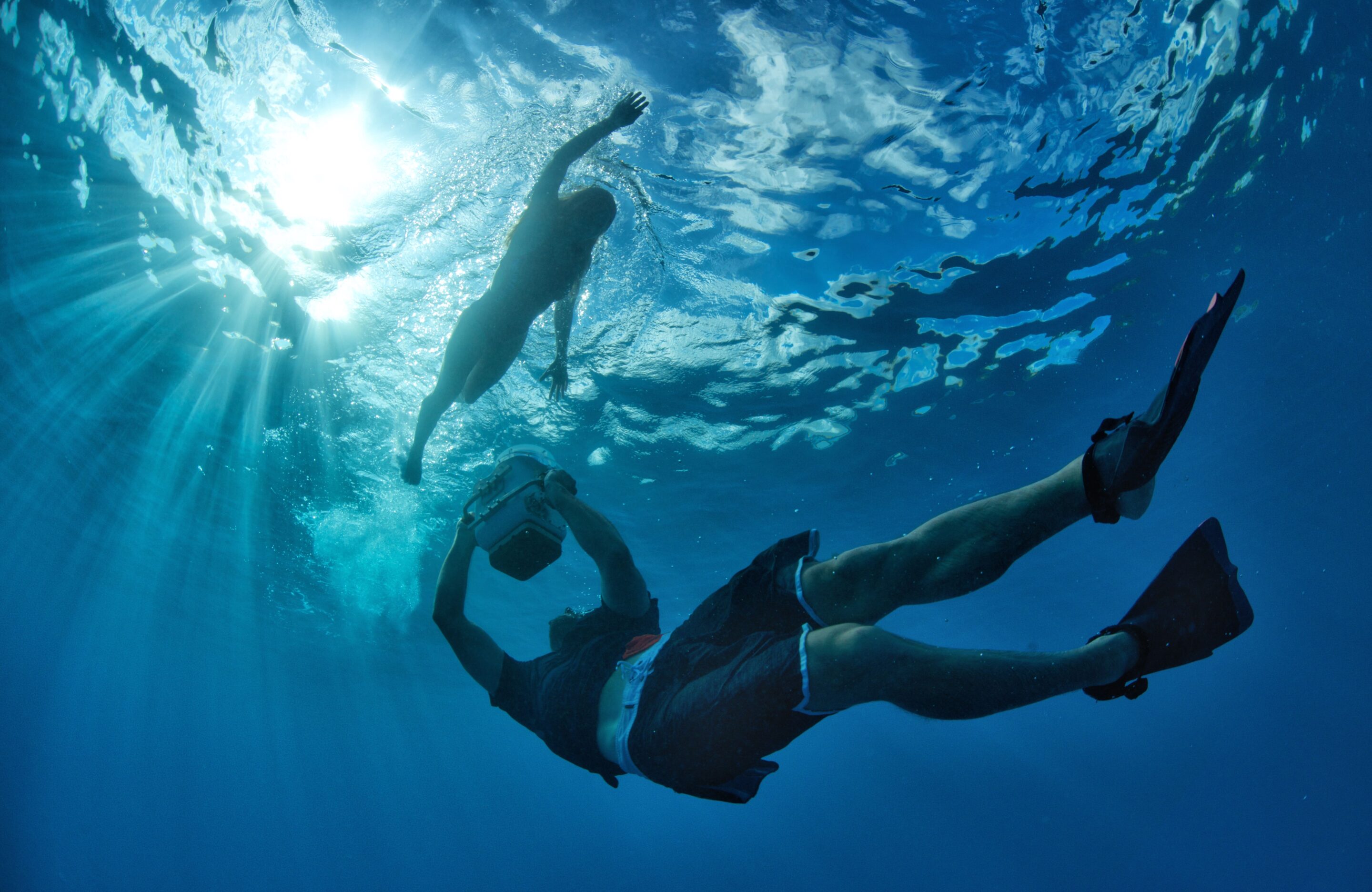 VK 1 compressé Vincent Kardasik